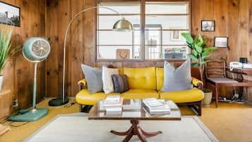 TV, fireplace, video games, books