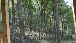 A forested area with a wooden structure, likely a cabin or shelter, surrounded by trees and leaf-covered ground.