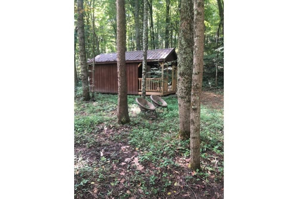 Cabins in a Clearing : Chestnut, Walnut and Beech - check all 3 cabins