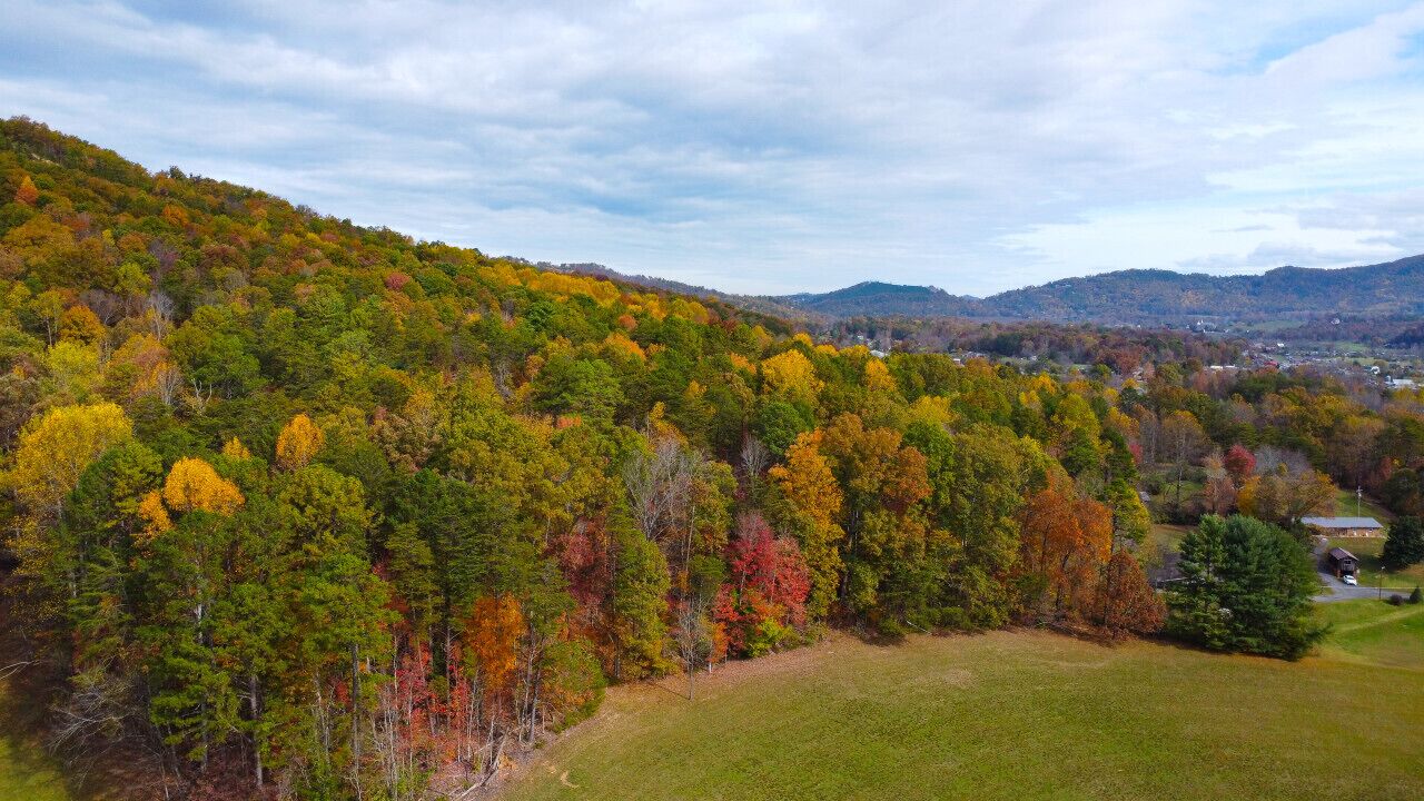 A panoramic view of a hilly landscape with autumn foliage, a grassy field, and a distant village.