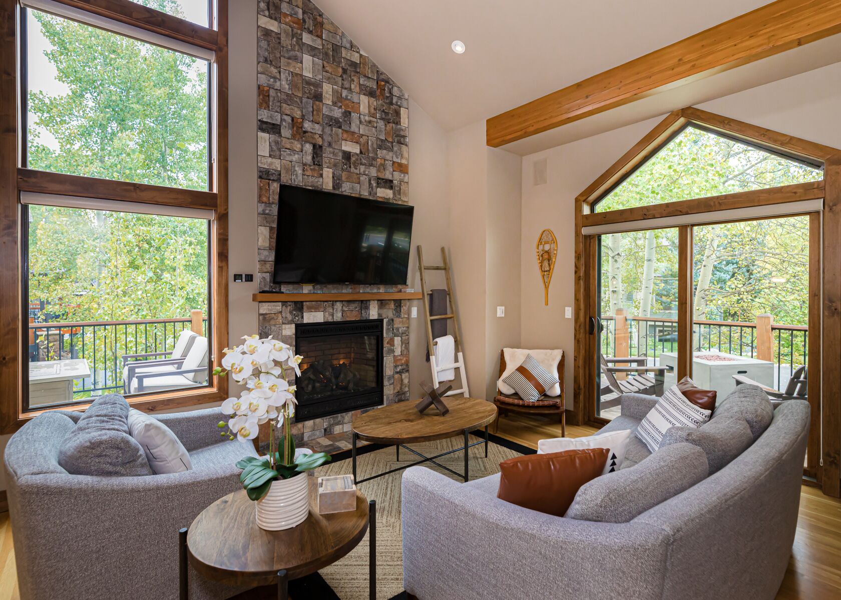 Smart TV, fireplace, video games, books