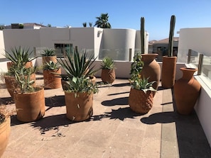 Una terraza en la azotea con macetas de terracota con diversas plantas, un cielo azul despejado y un edificio blanco al fondo.