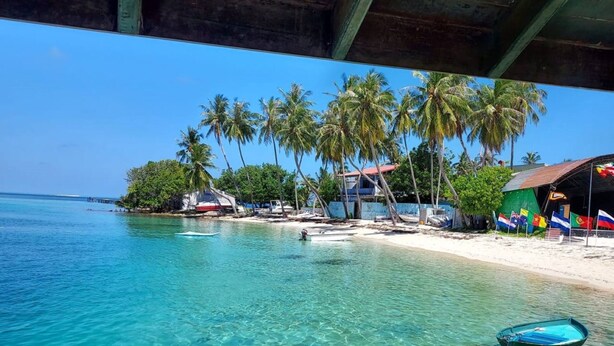 Una playa con agua turquesa cristalina, palmeras y un pequeño bote.