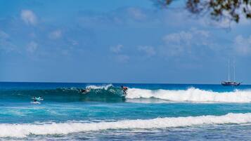 Surfe/bodyboard