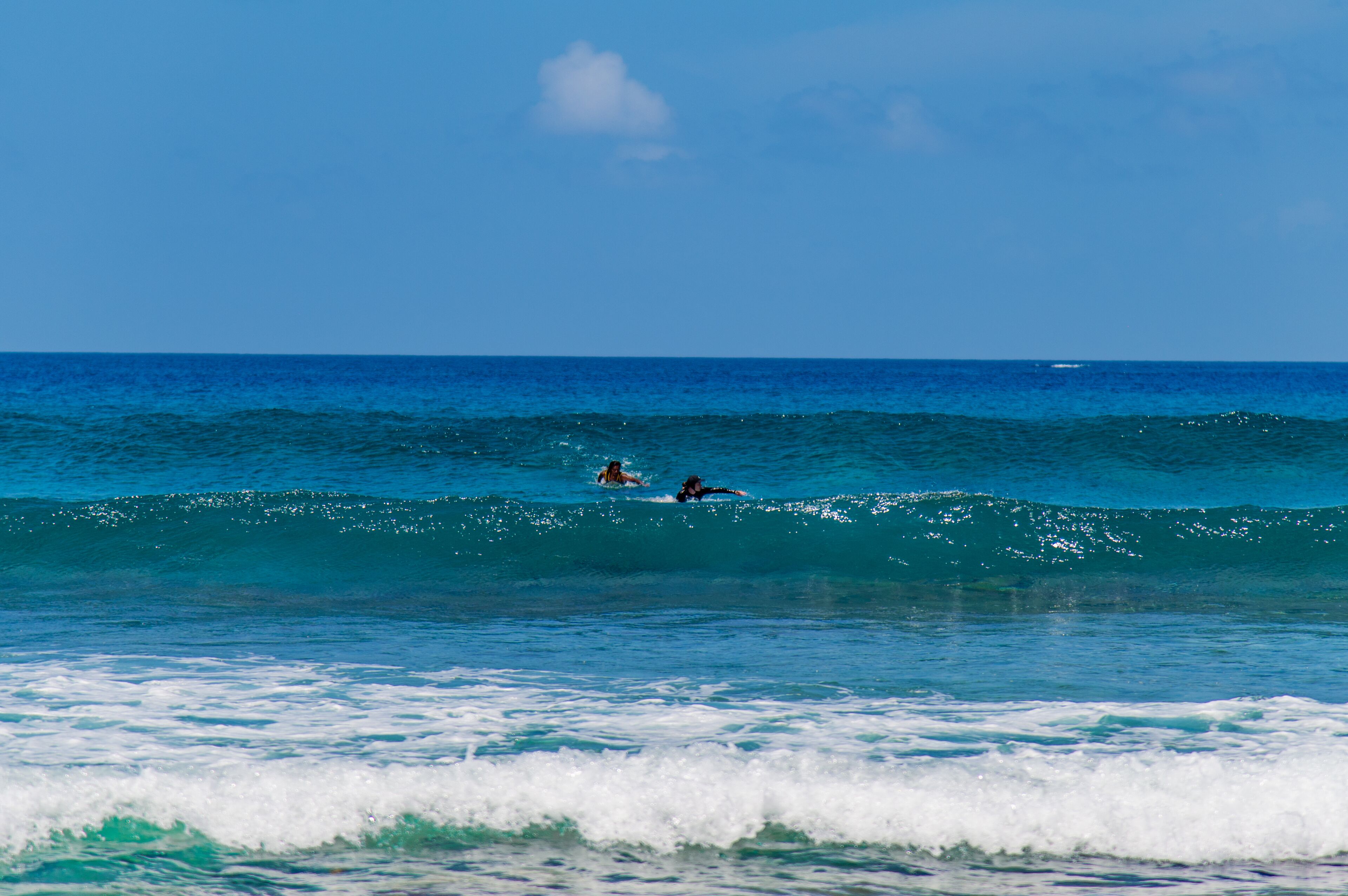 Lướt sóng/lướt ván