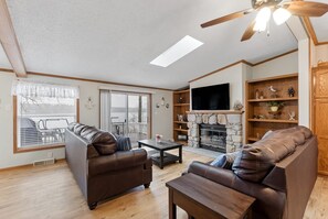 Télévision, cheminée, lecteur de DVD, livres