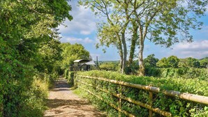 Ein Feldweg führt zu einer rustikalen Holzhütte, umgeben von üppigem Grün und Bäumen.