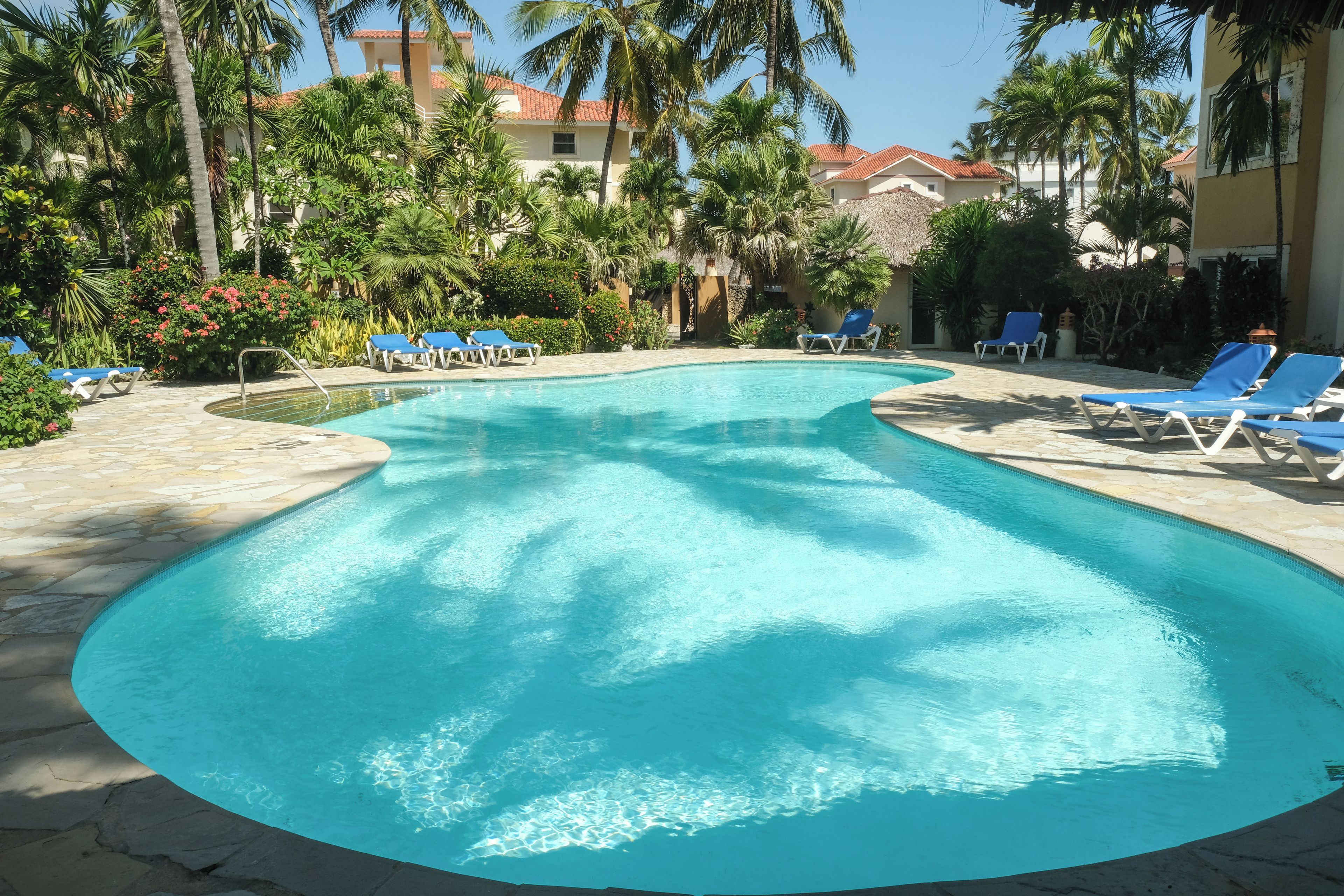 A swimming pool with blue water, surrounded by lounge chairs and palm trees.