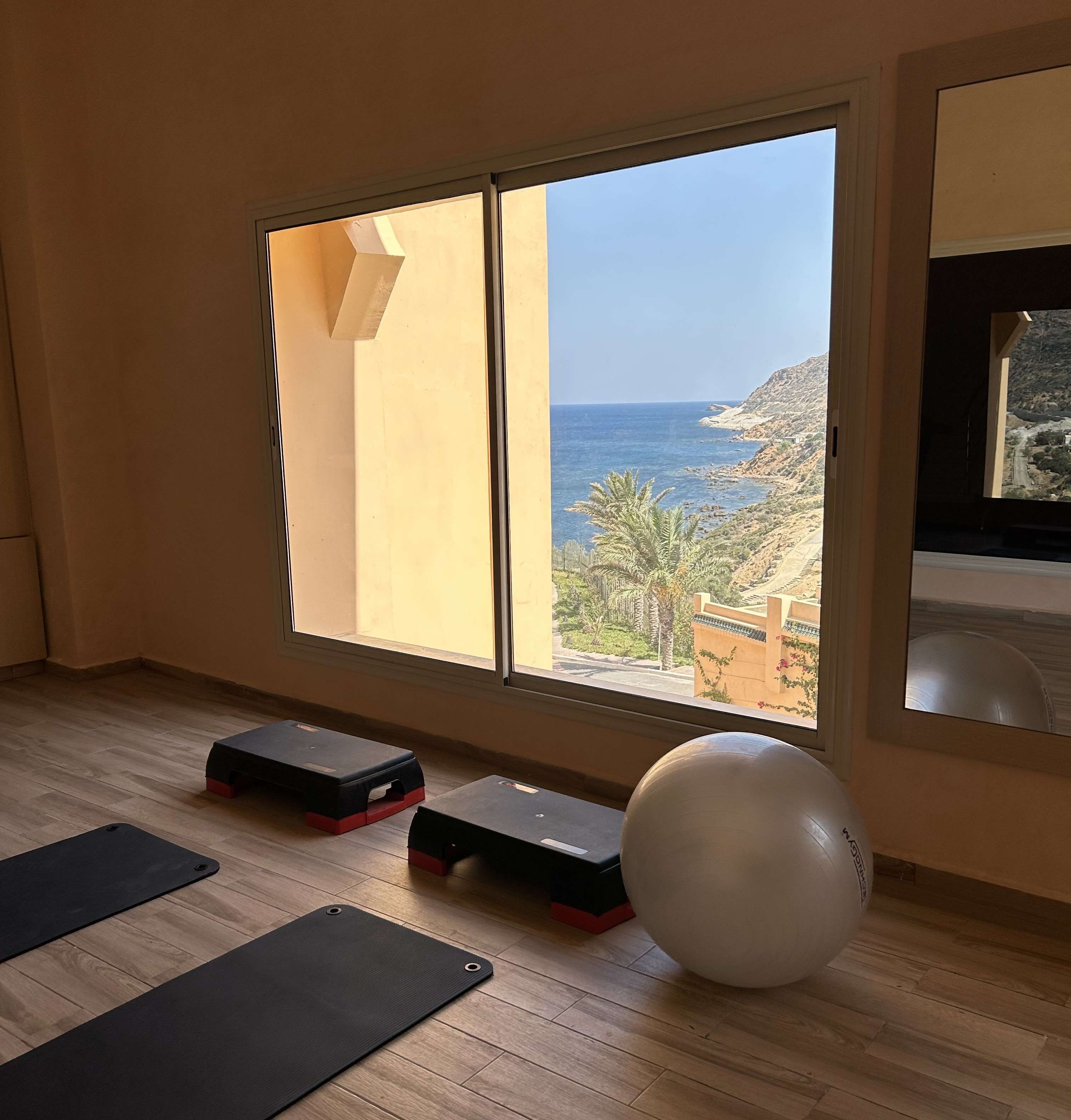 A room with a large window overlooking a coastal landscape, wooden flooring, and exercise equipment including mats and a ball.