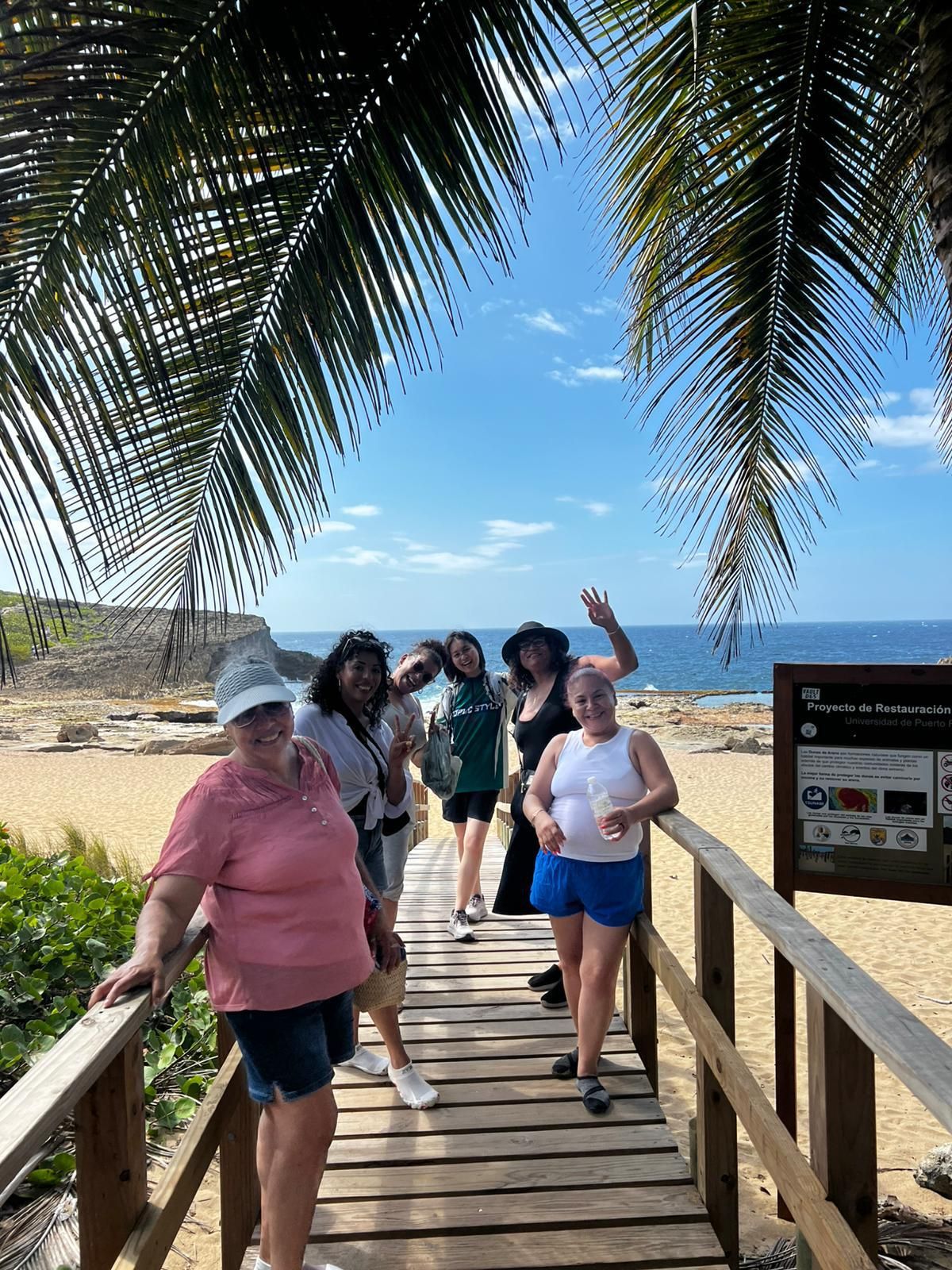 A wooden boardwalk leading to a beach with palm trees overhead.