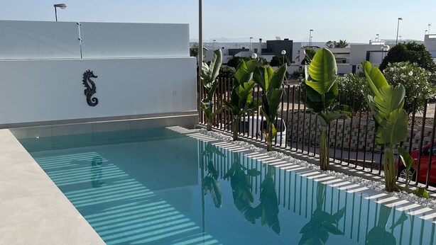 Una piscina con decoración de caballito de mar, rodeada por una valla baja y plantas tropicales.