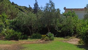 Um jardim com um caminho de pedra que leva a uma casa com telhado de telhas.