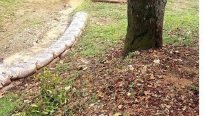 Un pont en bois rouge, situé dans une zone boisée.