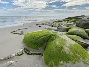 Unclassified image, 5 of 23, button