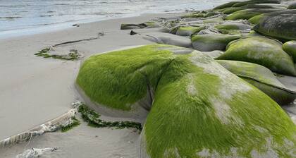 Easy Living by The Water . Quiet, Secure, private Historic Downtown.