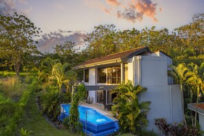 A modern two-story house with a swimming pool surrounded by lush greenery and palm trees. - Casa Tweed - Large private modern home, minutes from the ocean! (Puntarenas Province)