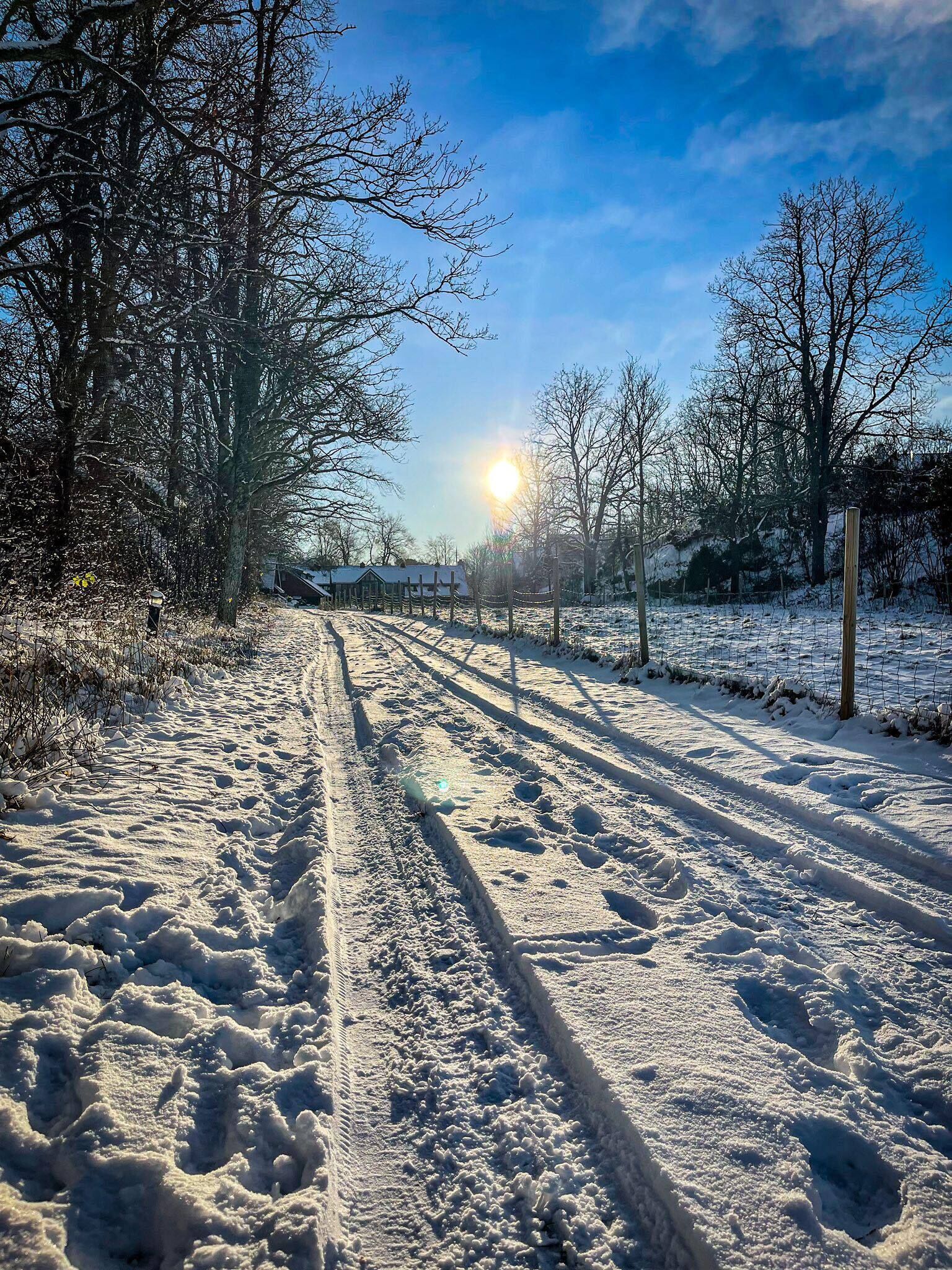 A snow-covered path with tire tracks leading to a house.