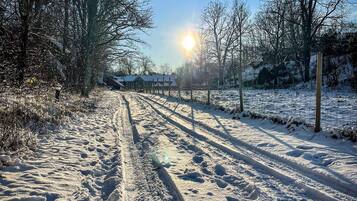 A snow-covered path with tire tracks leading to a house.
