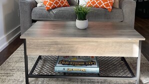 Una sala de estar con un sof á gris, almohadones estampados color naranja, una planta en maceta y una mesa de centro con un libro titulado "Lake Norman-Opolyo".