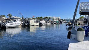 Un port de plaisance où sont amarrés différents types de bateaux, un ciel bleu dégagé et une plante en pot sur le quai.