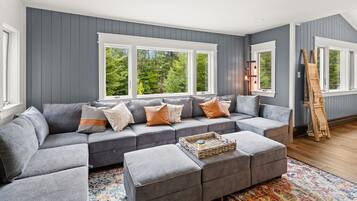 Smart TV, fireplace, books