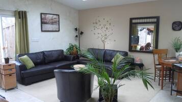 Älytelevisio, takka, DVD-soitin, kirjoja