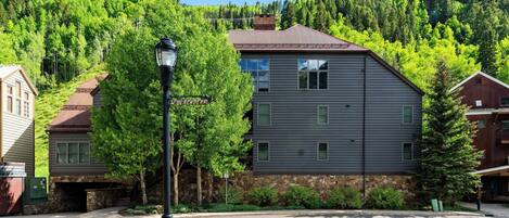 A residential building with a stone foundation, a metal roof, and a street lamp in front.