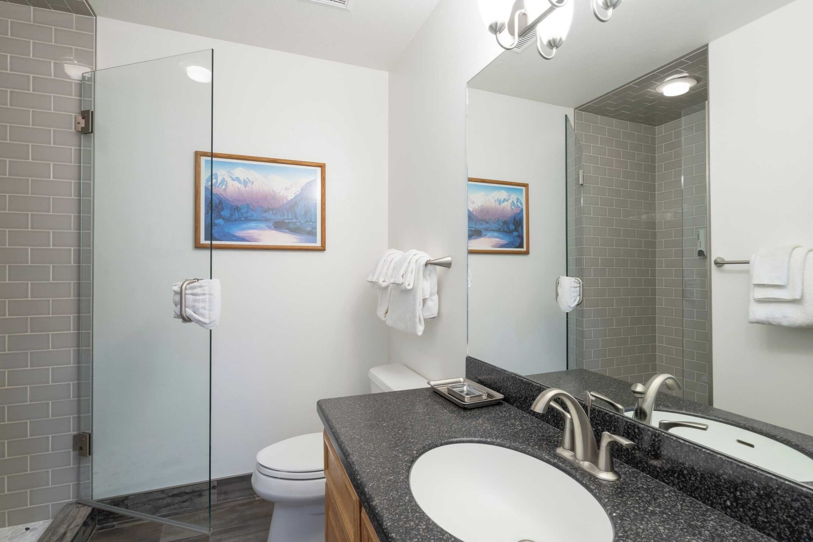 Un bagno moderno con box doccia in vetro, un WC bianco, un lavabo con piano in granito e uno specchio grande.