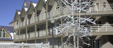 A multi-story building with balconies, a snow-covered tree, and bicycles parked outside.