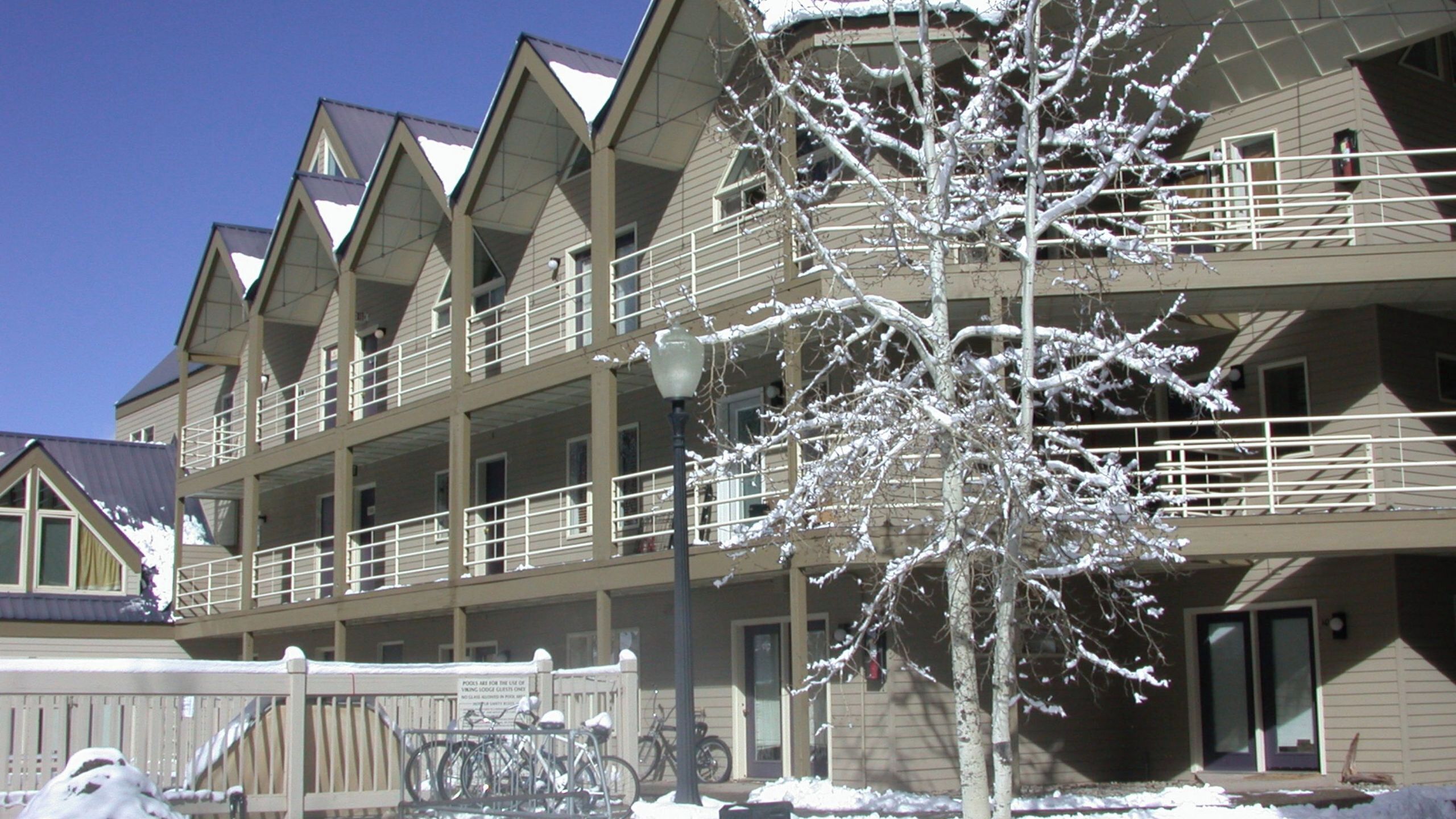 A multi-story building with balconies, a snow-covered tree, and bicycles parked outside.