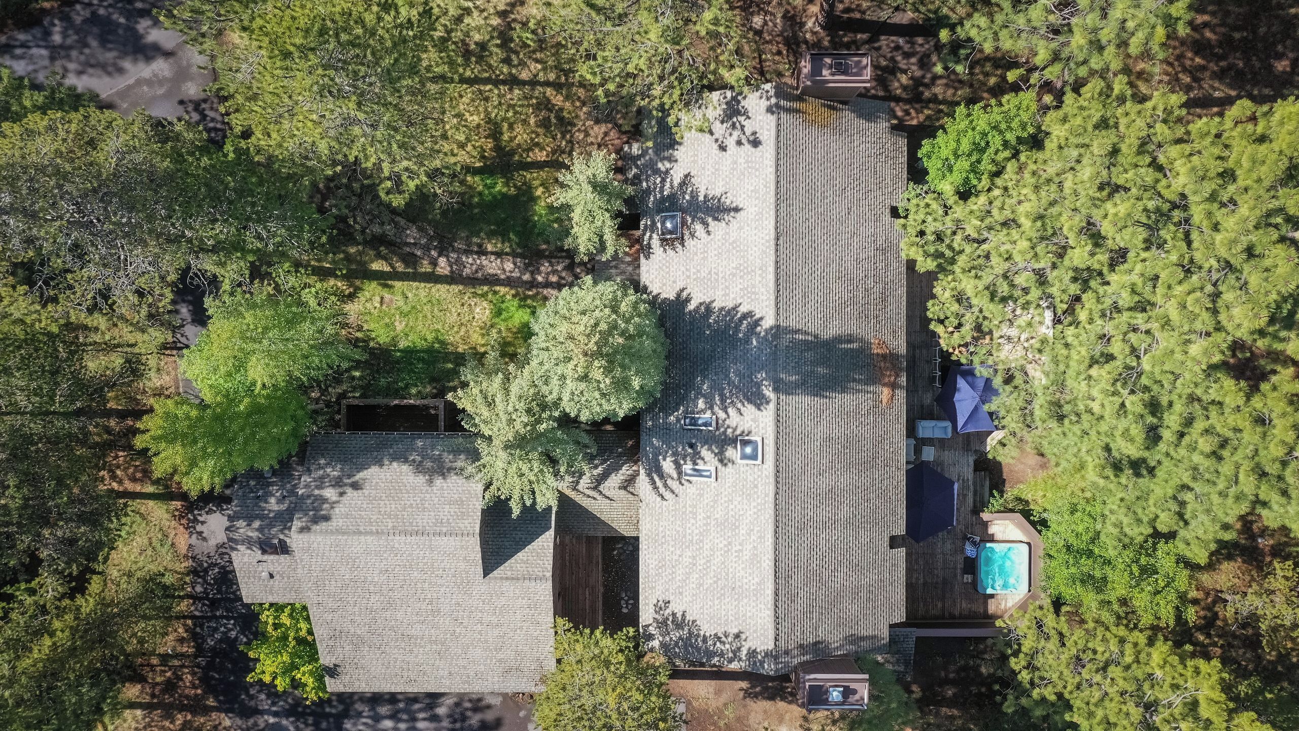 House (Multiple Bedrooms) | Interior