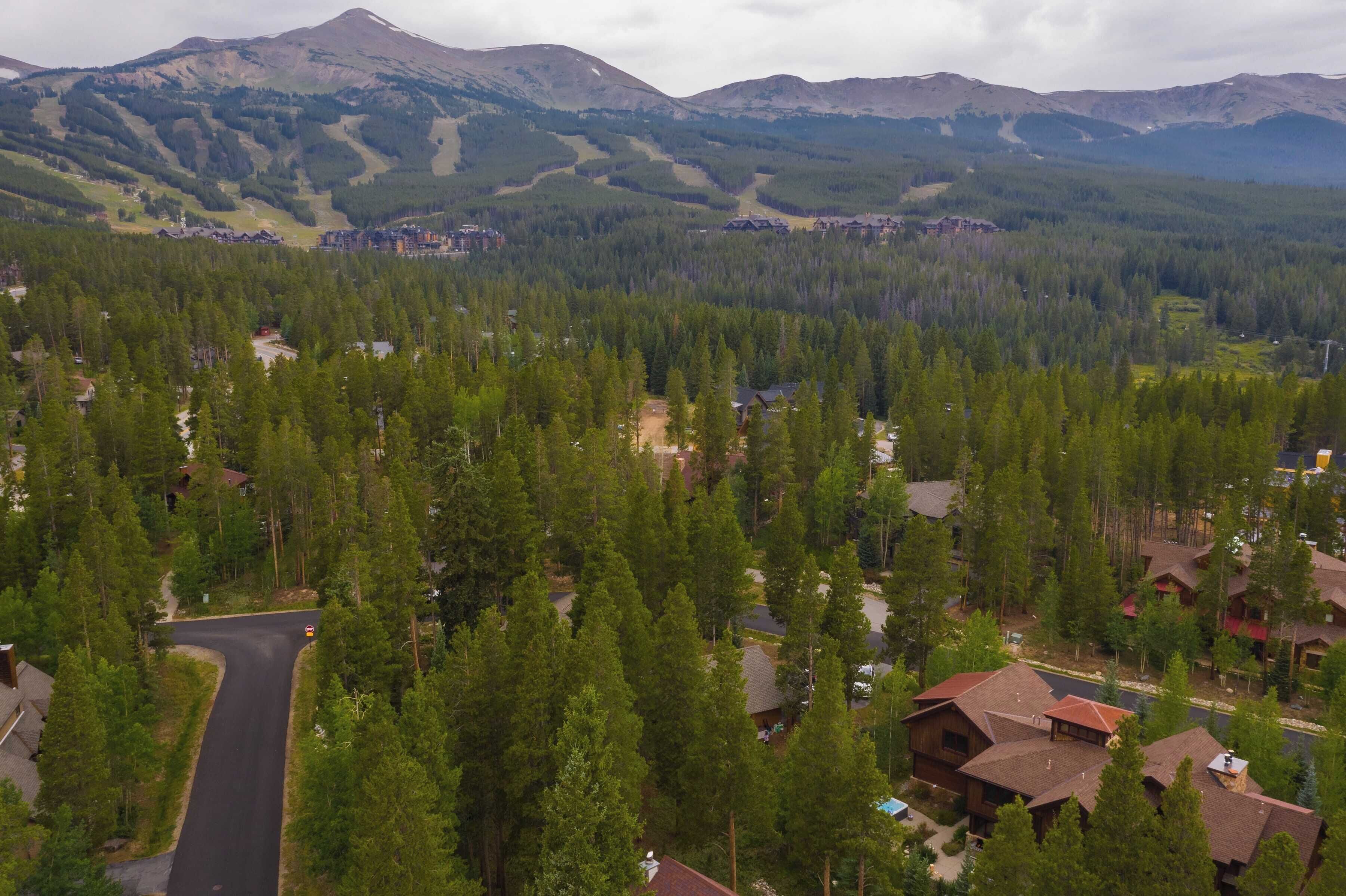 A residential area with houses surrounded by dense forest and mountains in the background.