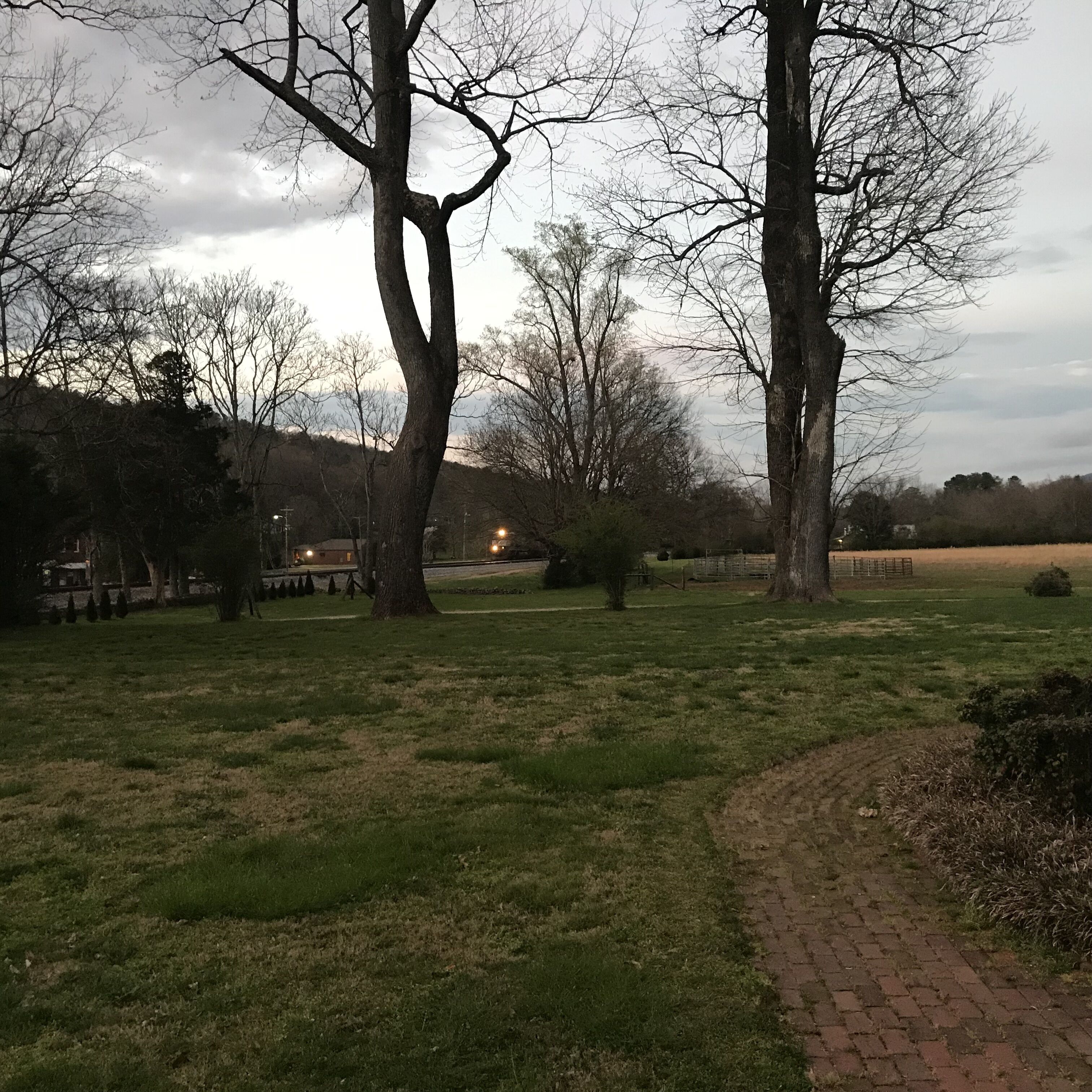 A park with trees, a brick path, and a distant building.