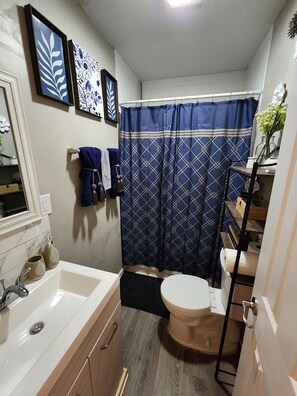Combined shower/tub - Cozy 1Br Diamond (Indianapolis)