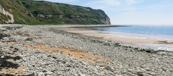 We just love the garden.