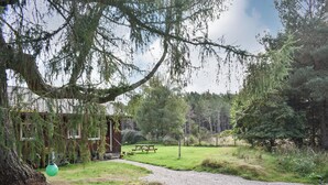 A rustic cabin with a gravel path leading to a picnic table, surrounded by dense trees and greenery.