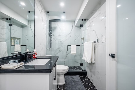 シャワー、ヘアドライヤー、タオル、石鹸. Luxury Lakeview Walkout Basement Apartment