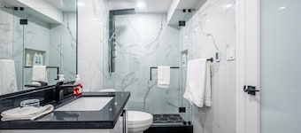 Luxury Lakeview Walkout Basement Apartment