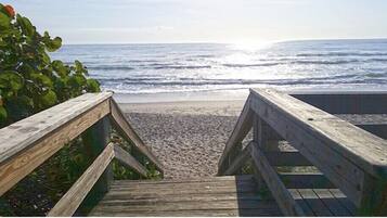 Sun loungers, beach towels