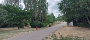 Un camino pavimentado en un parque con árboles y un buzón rojo.