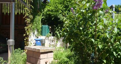 Holiday apartment- Four stars in the middle of the biosphere reserve Palatinate Forest/Northern Vosges