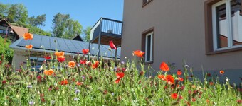 Vakantiewoning- Vier sterren midden in het biosfeerreservaat Palts Woud/Noordelijke Vogezen