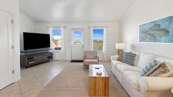 Smart TV, reproductor de DVD, libros y videoteca