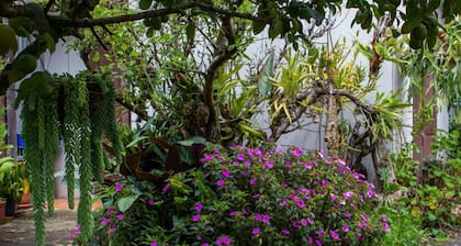 Cabinas las Manzanas Bed y Breakfast