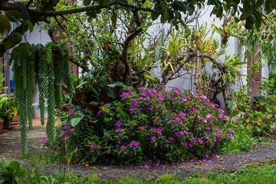 Cabinas las Manzanas Bed y Breakfast