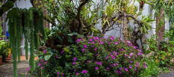 Cabinas las Manzanas Bed y Breakfast