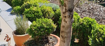 Bright new apartment with dream view modern, comfortable with train connection  