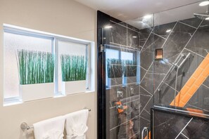 Combined shower/tub, hair dryer