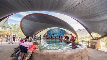 A large water feature with a semi-circular roof structure, surrounded by people.