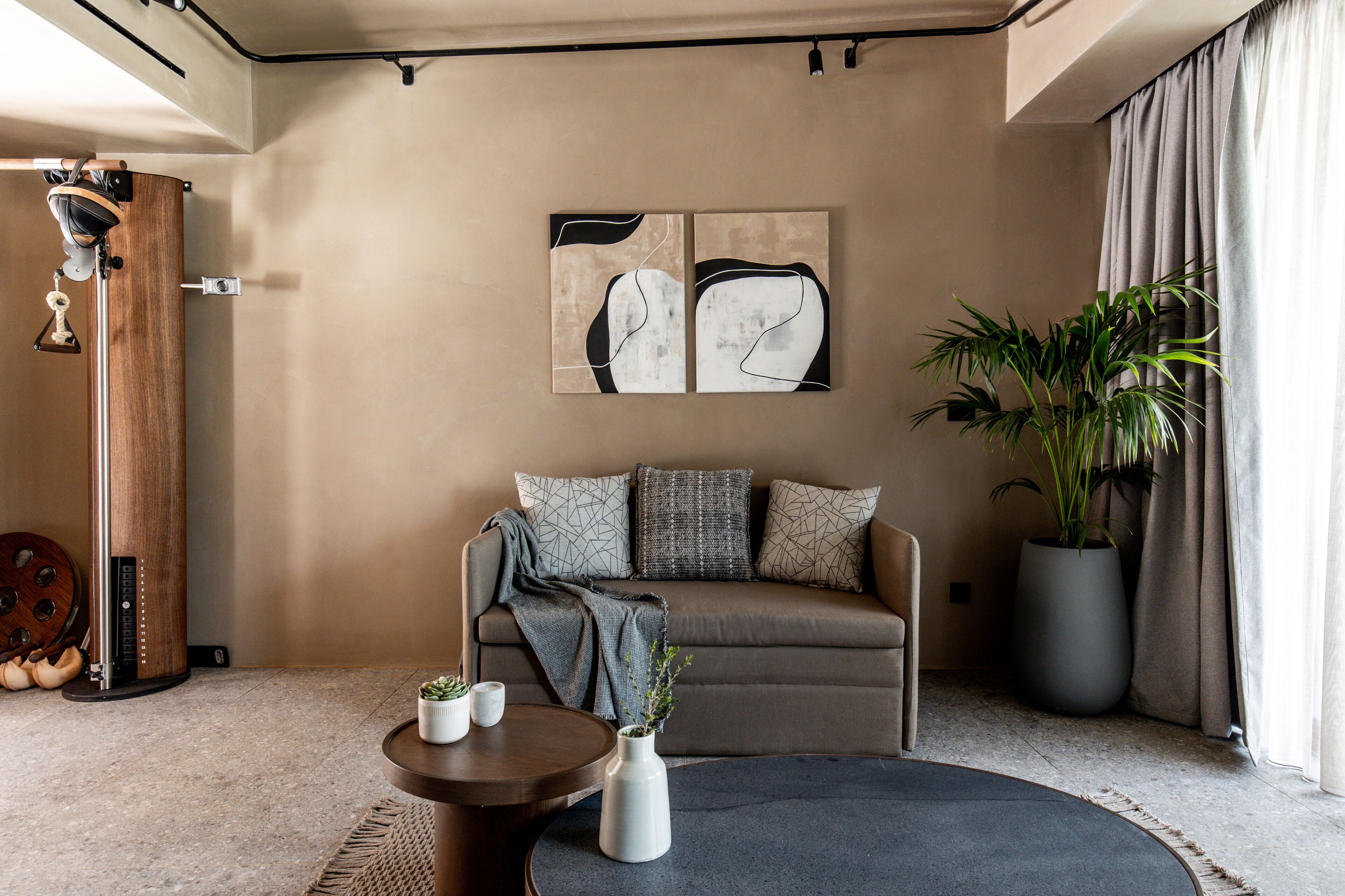 A modern living room with a sofa, a coffee table, and a large potted plant.